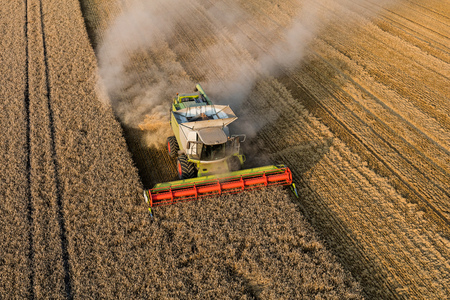 aerial view of the harvest fields in Poland