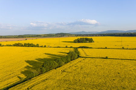 aerial view of the harvest fields near Nysa city in Polandの写真素材