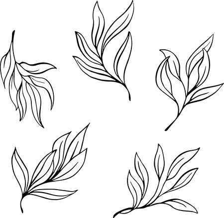 Vector Set Vintage Branches With Leaves. Decorative Elements for Decorationのイラスト素材