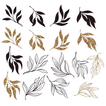 Set for pattern Vintage Branches With Leaves. Decorative Elements for Decorationの写真素材
