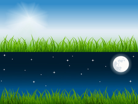 day and night vector scene on th fresh meadow. No mesh usedのイラスト素材