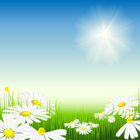 vector illustration of bright summer day. No mesh usedのイラスト素材