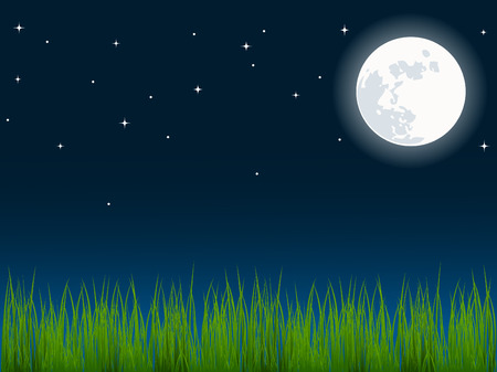 vector illustration of green grass over the night skyのイラスト素材
