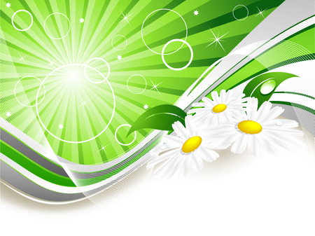 abstract summer background with  chamomiles and copy spaceのイラスト素材