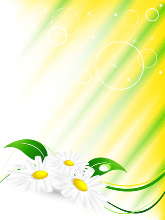 abstract summer background with  chamomilesのイラスト素材