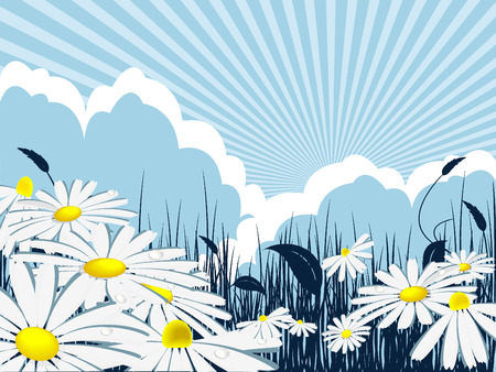 Abstract floral   template with sunbeams and chamomilesのイラスト素材