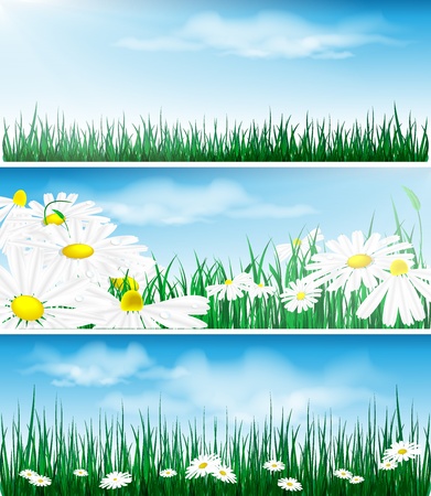 floral backgrounds with grass and flowers. Eps10のイラスト素材