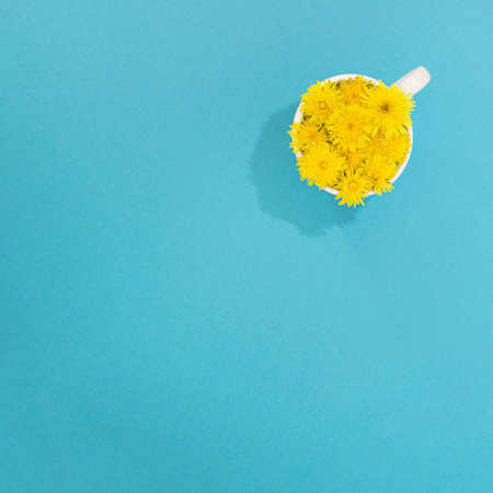 cup of coffee full of sunny yellow spring dandelion.flowery concept in a blue flat lay concept.minimalist ideaの写真素材