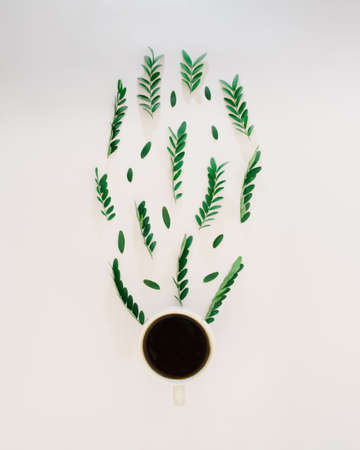cup of coffee on a white background with green leaves on a brunch making tree.nature relax concept idea.autumn designの写真素材