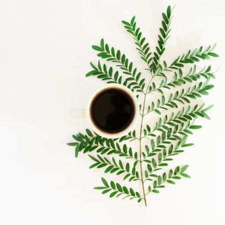 coffee with brunch of leaves.white background.forest aesthetic autumn ideaの写真素材