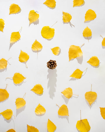 copy space with yellow autumn leaves and pine cone in the middle.season flat lay on a white...