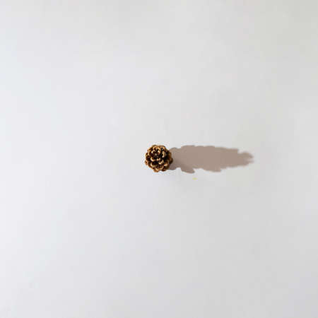 pine cone in the middle of the white background.season flat lay with autumn shadow.winter concept minimal ideaの写真素材
