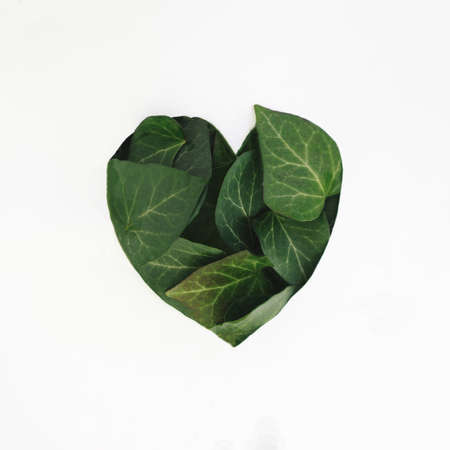 Heart made of green leaves.Valentine design on a white background.Love spring idea aestheticの写真素材