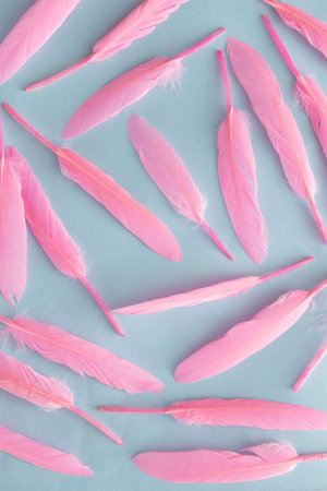 Soft  feathers pastel pink on a soft pastel blue background. Valentine card design aesthetic. Love concept idea.の写真素材