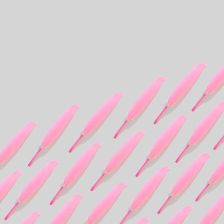 Pink soft feather on a white background under angle for writing. Smooth, light, pastel texture. Flat lay aesthetic copy space design.Modern design patternの写真素材