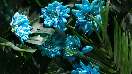 Blue flowers in green vegetation with small ray of light. Spring concept idea. Awakening aesthetic nature designの写真素材