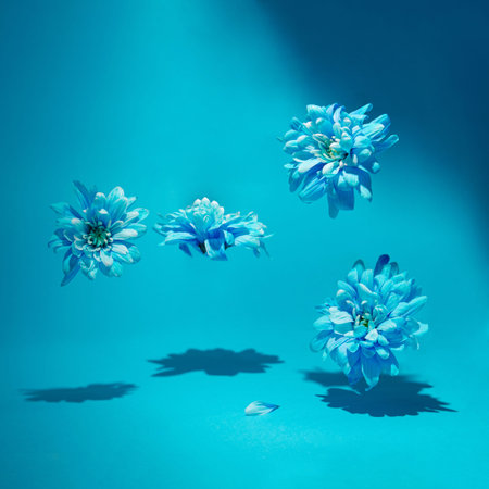 Soft blue spring flowers making scene with lights and shadows. Nature performing concept idea design