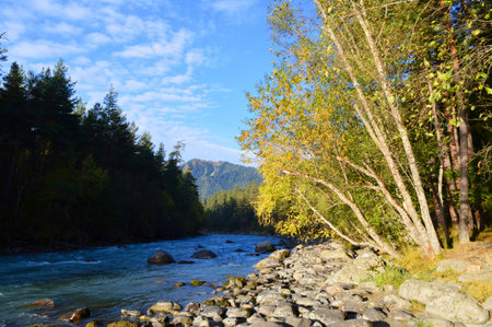 Landscape of sunrise on the river Big Zelenchuk, Arkhyzの写真素材