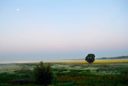 Rural landscape with fields in the fog at dawn. Beautiful natural background.の写真素材