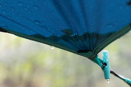 A close-up of a raindrop hovers over a blue canopy. Scene in the green forest. Blurred backgroundの写真素材