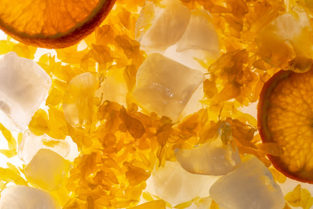 Orange fruit with ice macro detail inside.の写真素材