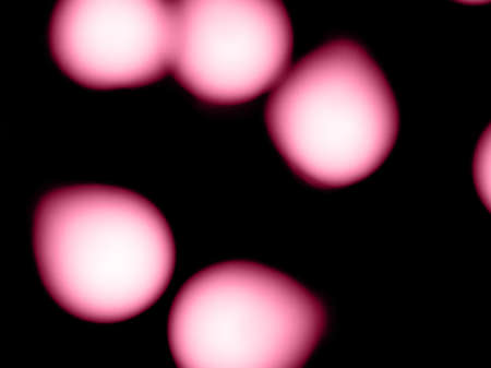bokeh gentle pink light on black background overlayの写真素材