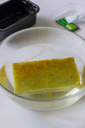 Compost for seedlings lies in the waterの写真素材