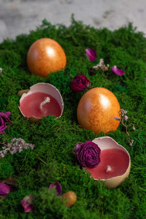 Colored orange eggs lie in green mossの写真素材