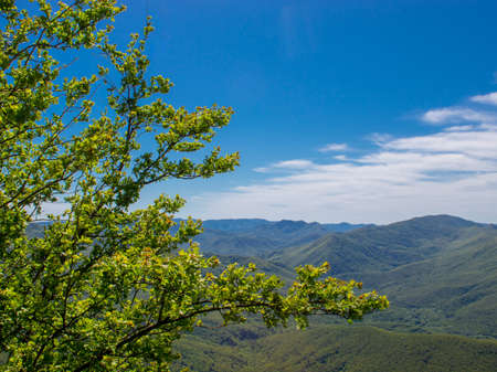 panorama of a beautiful mountainous area. sunny in the afternoon. beautiful spring landscape in the mountains.の写真素材