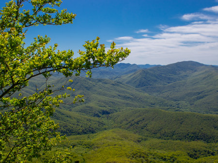 panorama of a beautiful mountainous area. sunny in the afternoon. beautiful spring landscape in the mountains.の写真素材