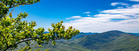 panorama of a beautiful mountainous area. sunny in the afternoon. beautiful spring landscape in the mountains.の写真素材