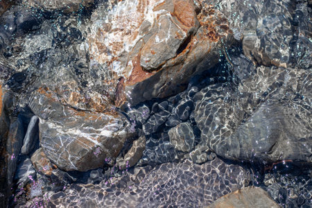 Stones under water. Glare of water on rocksの写真素材