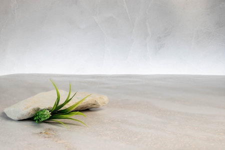 Table with plant in flowerpot agianst bright grey wall.の写真素材