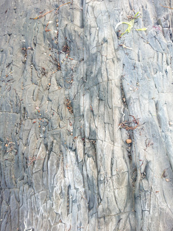Gray stones texture and background. Rock textureの写真素材