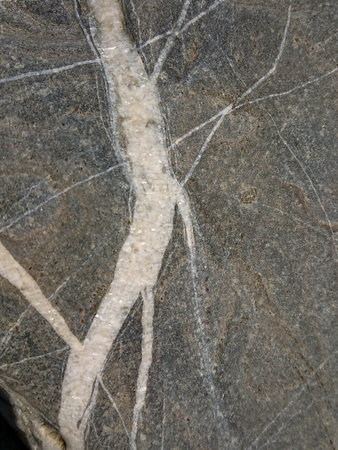 Gray stone with white lines. Stone textureの写真素材