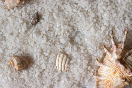 Seashells on natural salt of Crimean Sea as backgroundの写真素材