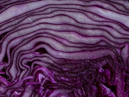 A slice of red cabbage in close-up.の写真素材