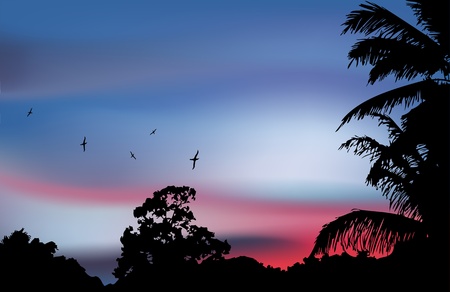 Palm tree silhouette on paradise sunset. Vectorのイラスト素材