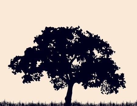 Silhouette of tree with grass  のイラスト素材