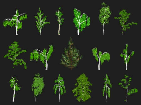 Set of Trees  Vectorのイラスト素材