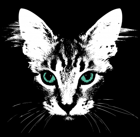 Head of a cat with green eyes  Vectorのイラスト素材
