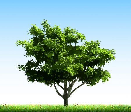 Green tree on grassのイラスト素材