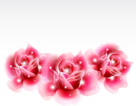 Pink roses Floral Design Elements  Vectorのイラスト素材