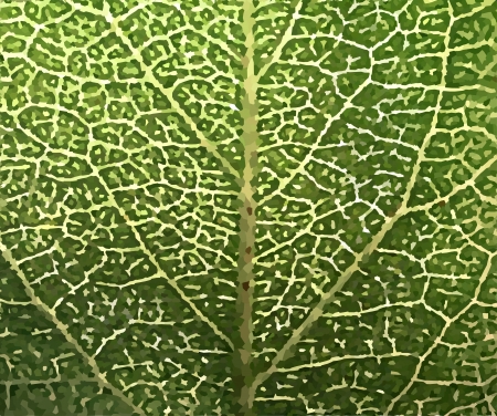 Leaf green texture   のイラスト素材
