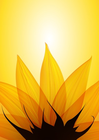 Sunflower part. Vector illustration eps10の写真素材