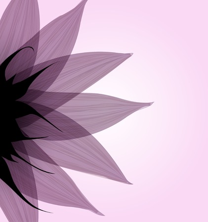 Abstract pink flower.の写真素材