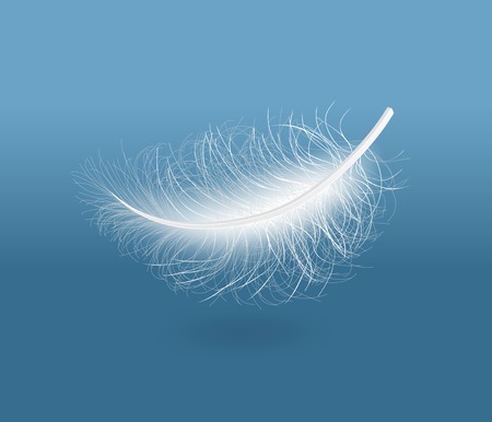 Light white feather. のイラスト素材