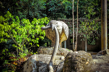 Magic garden in Koh Samui Thailandの写真素材