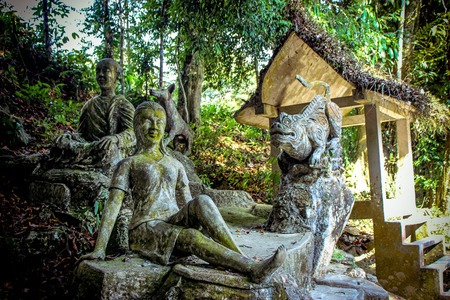 Magic garden in Koh Samui Thailandの写真素材