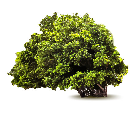 Green tree. のイラスト素材